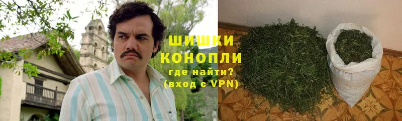 где можно купить наркотик  Верея  Бошки Шишки Bruce Banner 